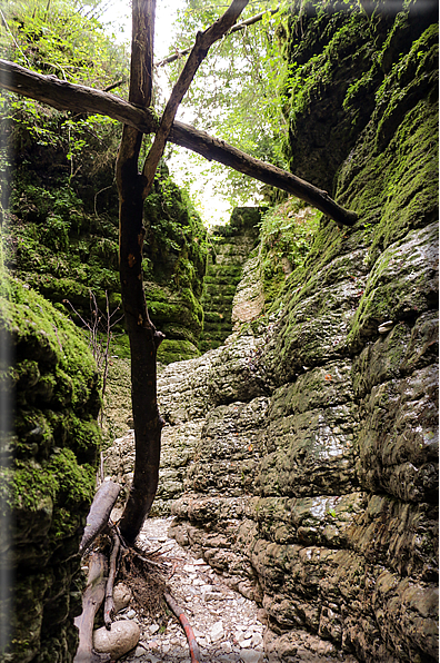 foto Canyon del Buso Vecio